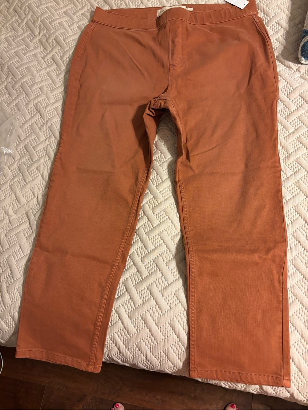 Soft Surroundings Terra Cotta Pants